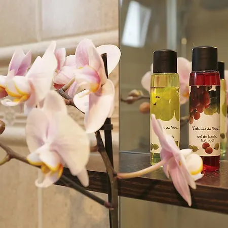 Σπίτι διακοπών Douro House Tabuaço