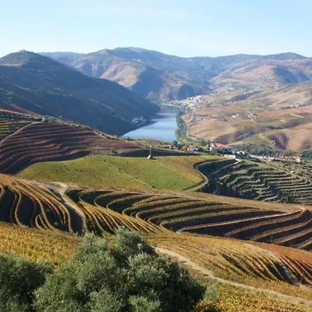 بيت للعطل Douro House