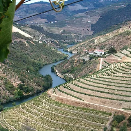 펜션 Douro House *