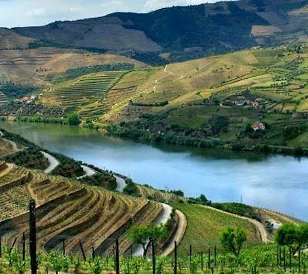 Douro House 펜션 *