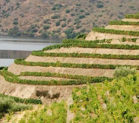 Douro House Σπίτι διακοπών