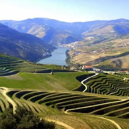 Douro House 타부아코