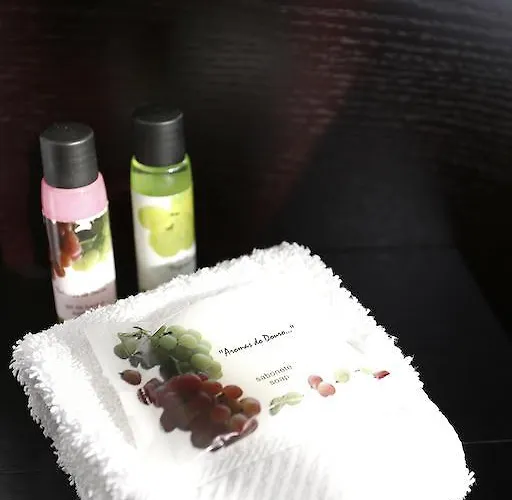 Semesterbostad Douro House Tabuaço