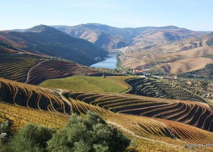 Semesterbostad Douro House