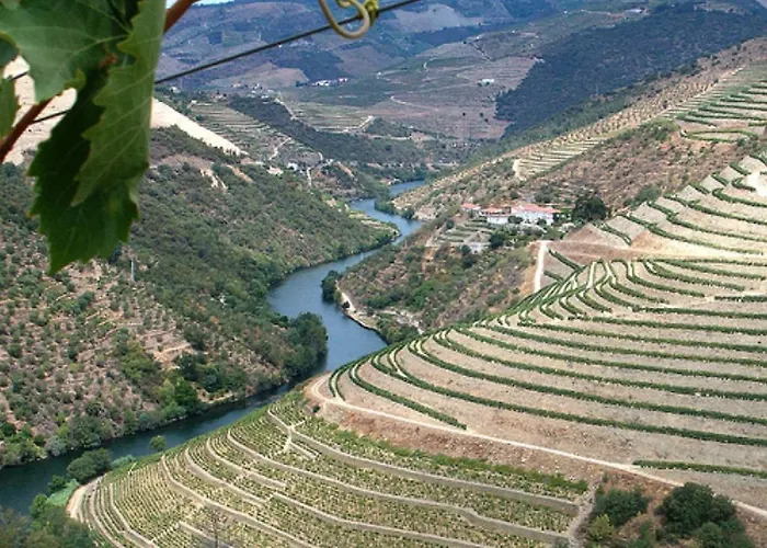 Semesterbostad Douro House *