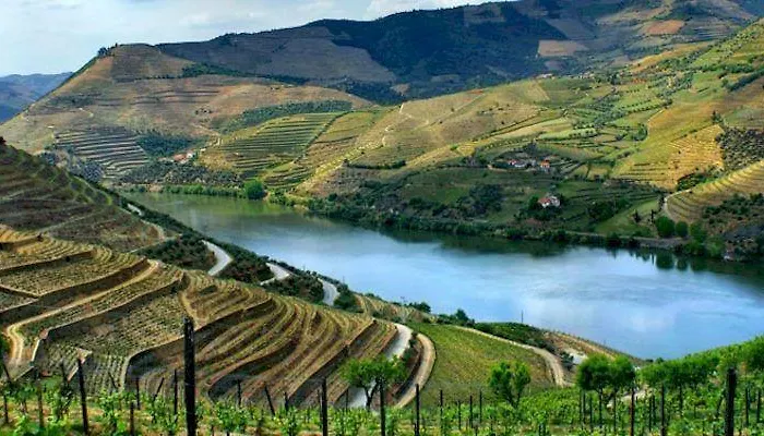 Douro House Semesterbostad *