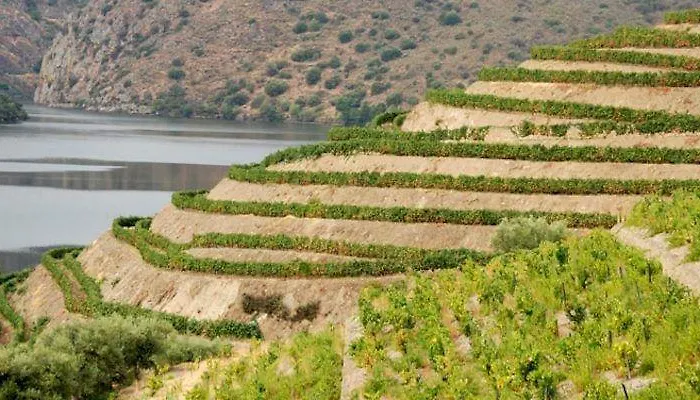 Douro House Semesterbostad